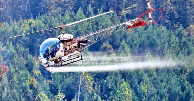 Aerial Forestry Services photo 4