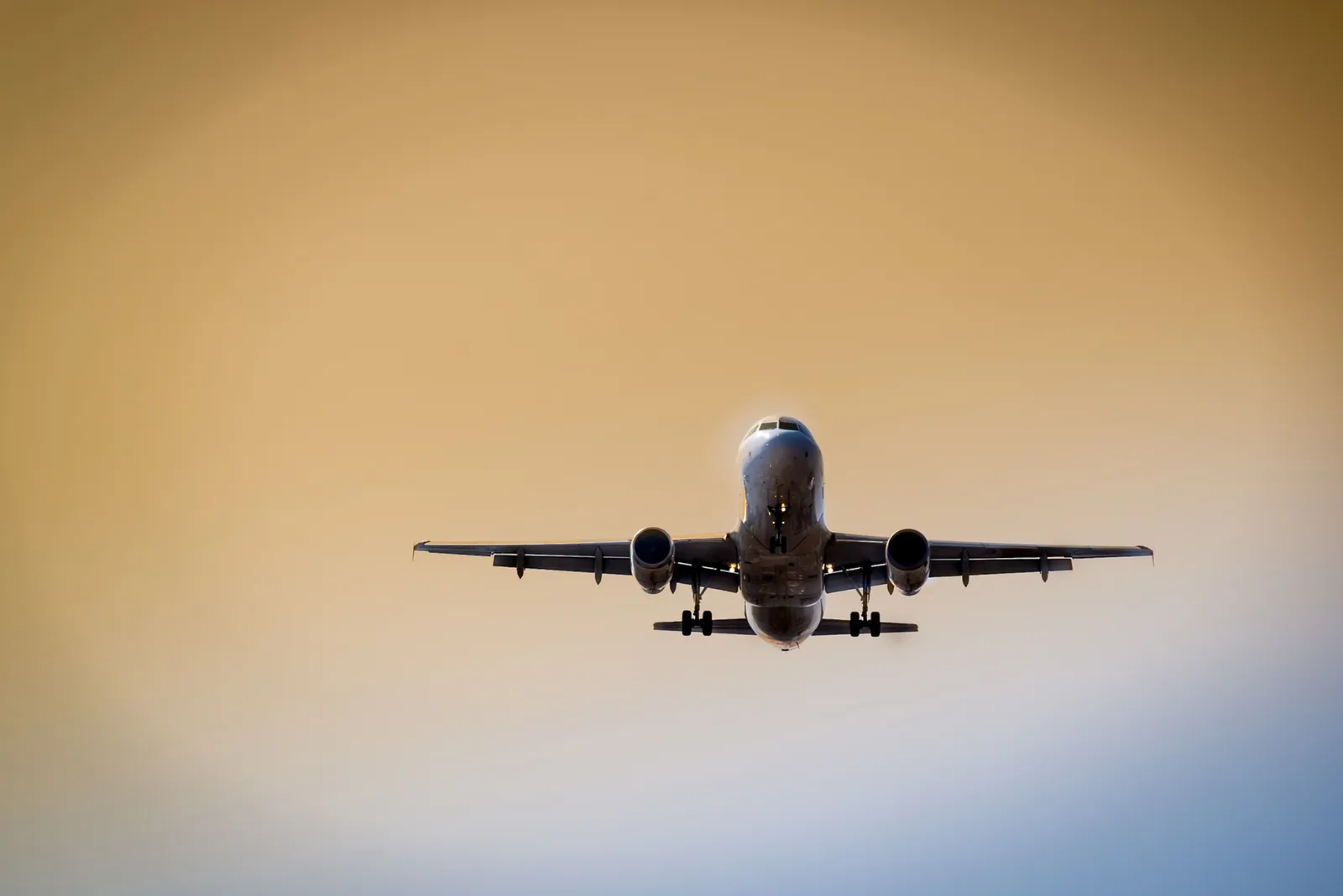 ASES Aviation