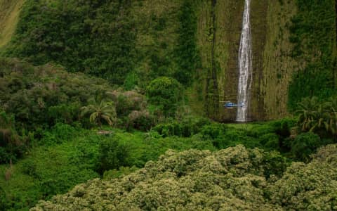 Blue Hawaiian Helicopters photo 2