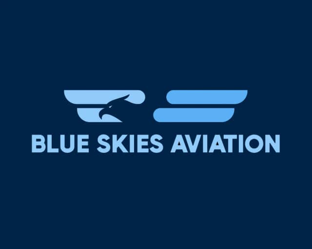 Blue Skies Aviation photo 1