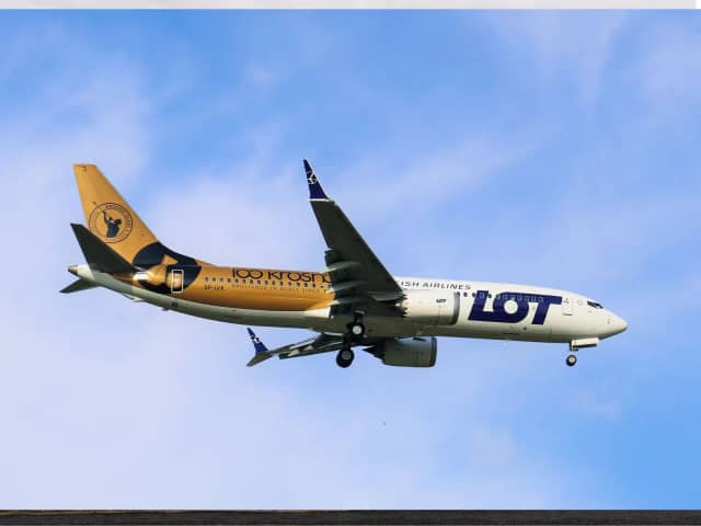 International Aerospace Coatings photo 3