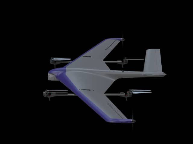 Starling Inc photo 3