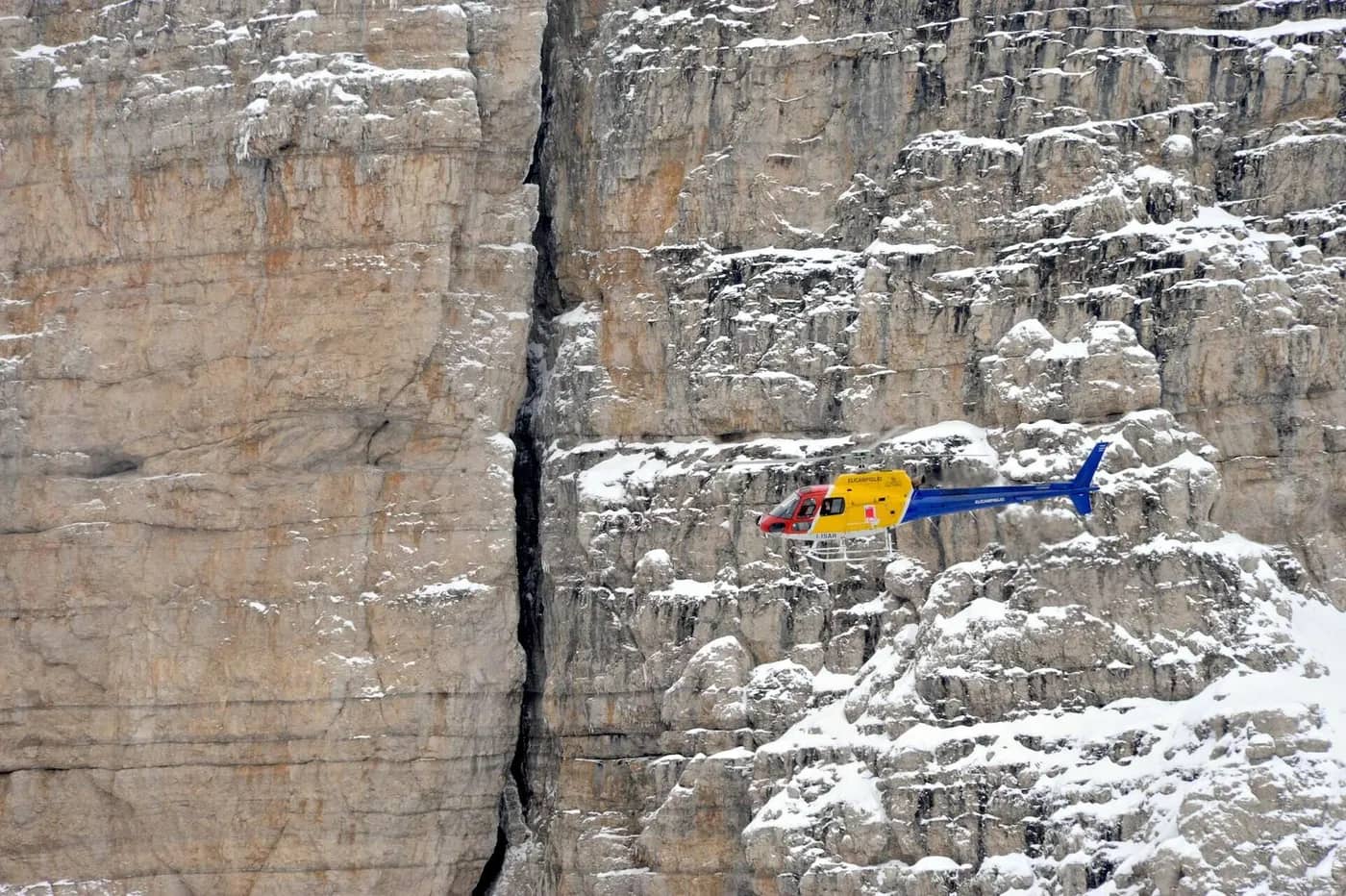 Elicampiglio S.r.l.