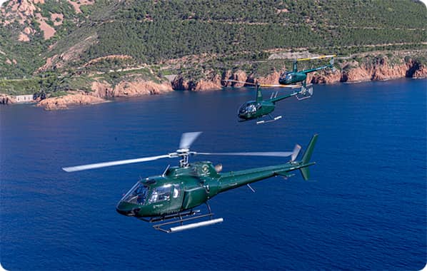Green Bees Helico