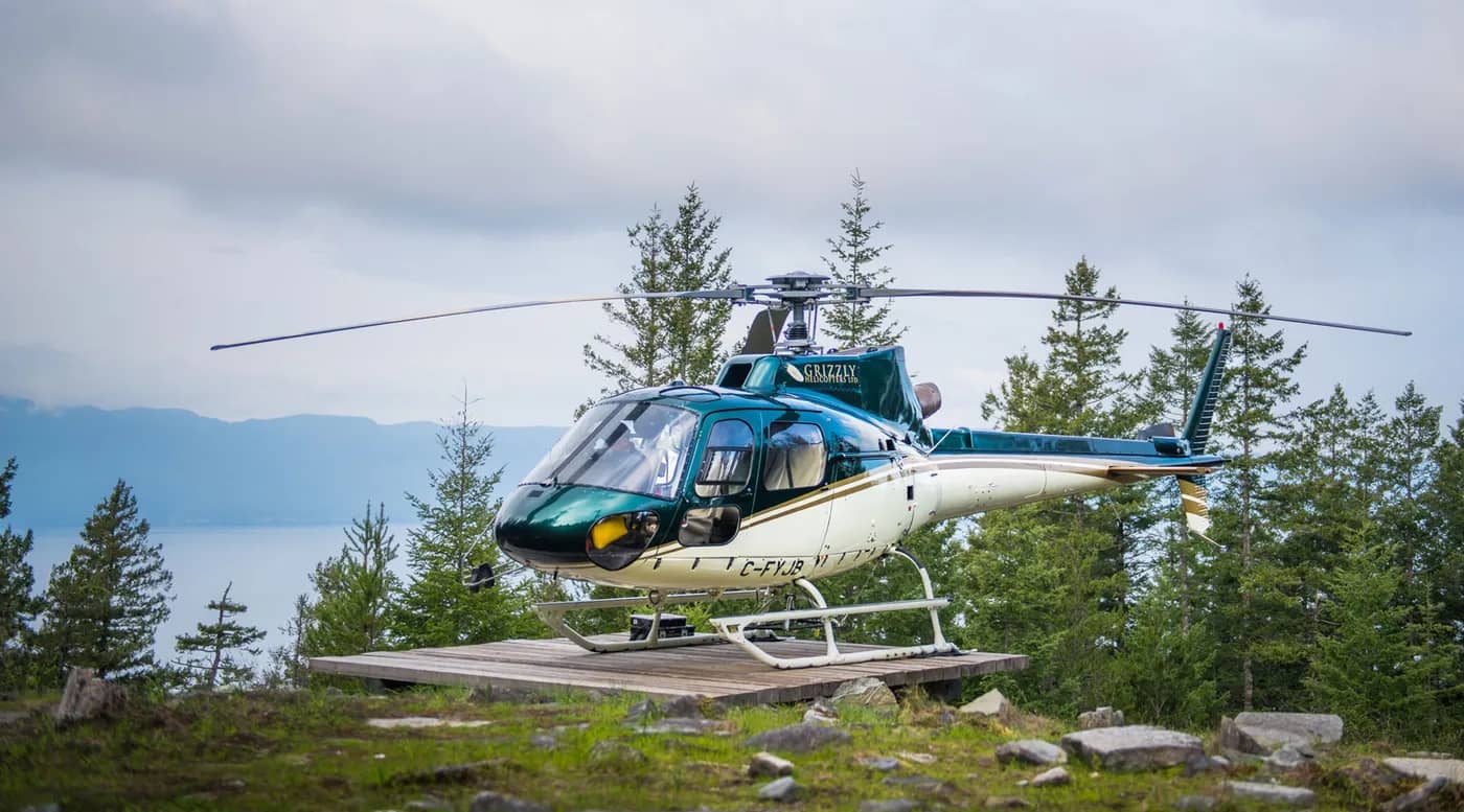 Grizzly Helicopters Ltd.