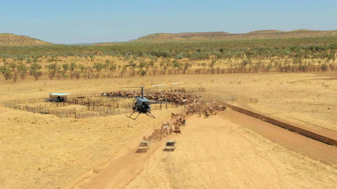 North Australian Helicopters