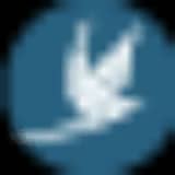 Helilagon logo