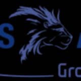 Lions Air Group AG logo