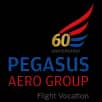 Pegasus Aero Group logo