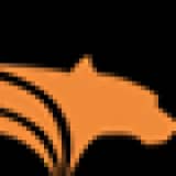Puma Air logo