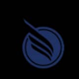 Safety Wings AG logo