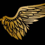 S&C Aviation logo