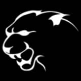 Wildcat Helicopters Inc. logo