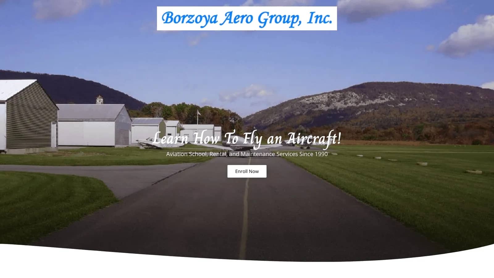 Borzoya Aero, Inc