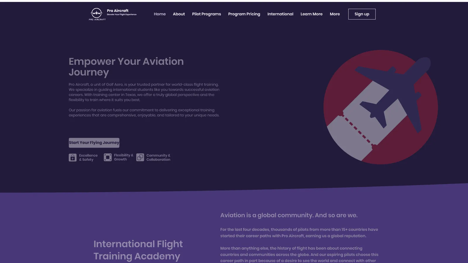 Pro Aircraft Flight Training