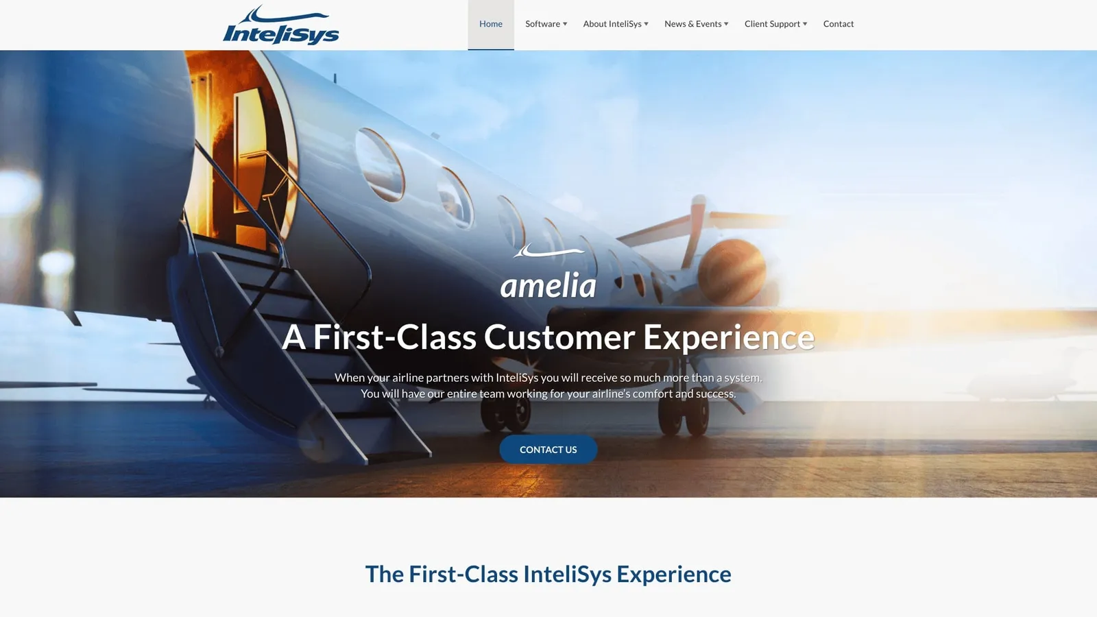 InteliSys Aviation