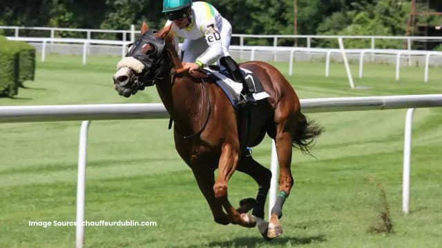 Goldstar Chauffeur Drive photo 4