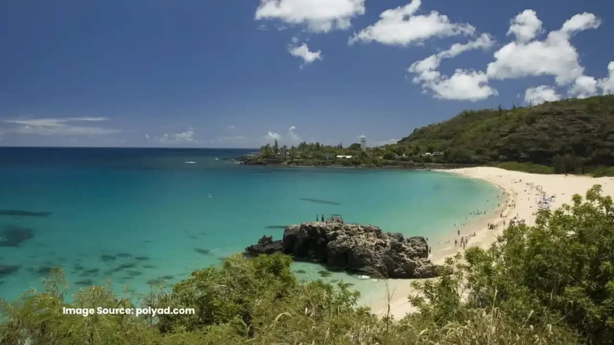 Polynesian Adventure Tours