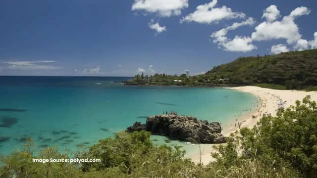 Polynesian Adventure Tours photo 1