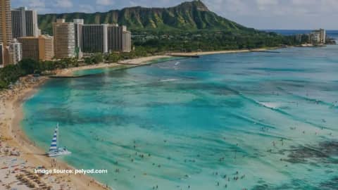 Polynesian Adventure Tours photo 2