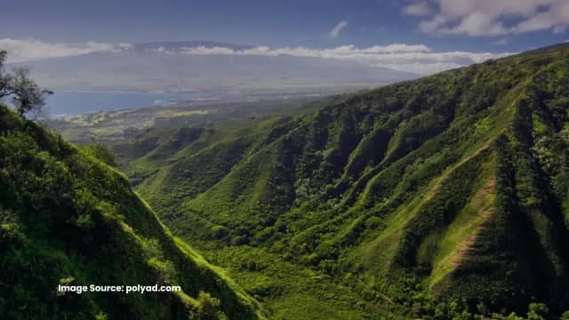 Polynesian Adventure Tours photo 3