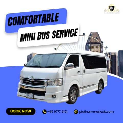 Platinum Maxi Cab & Limousine Services photo 2
