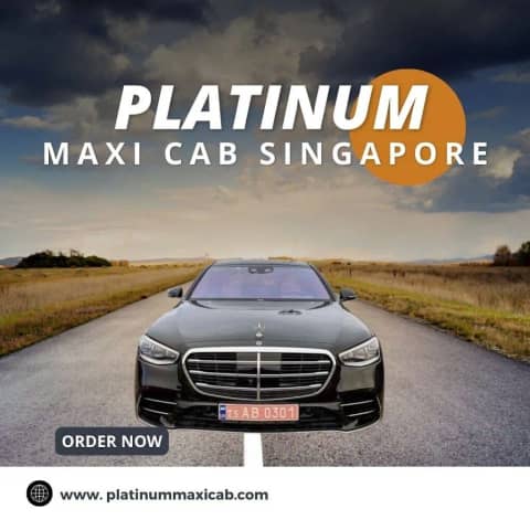 Platinum Maxi Cab & Limousine Services photo 3