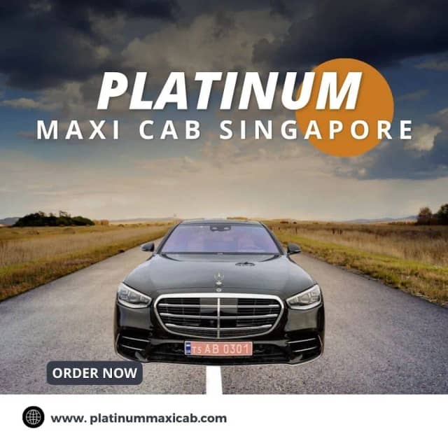 Platinum Maxi Cab & Limousine Services photo 3