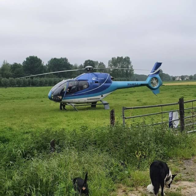 Heliflight Helicopters photo 3
