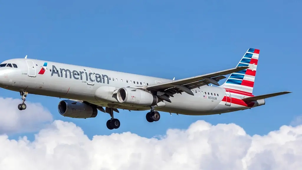 American Airlines Offers 100,000 AAdvantage Miles to First Baby Born on Frequent Flyer Day
