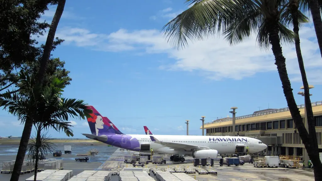Pacific Flight Disruption: Tsunami Warnings After the Kamchatka Earthquake