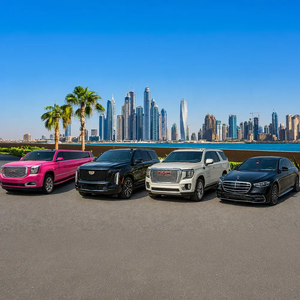 Skye VIP Limousine: photo 1