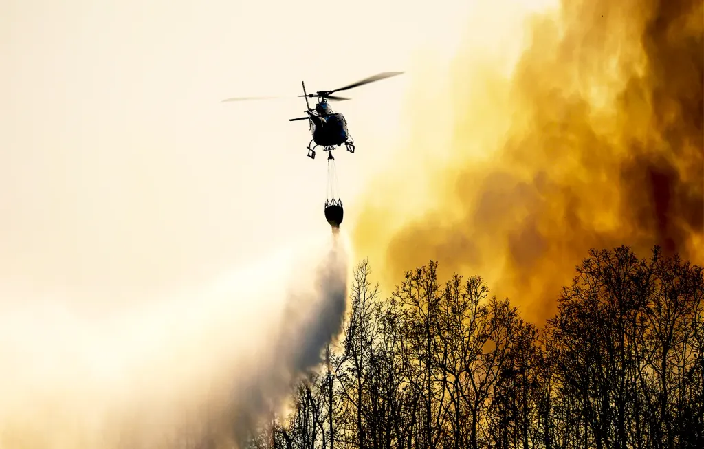 Timberland Helicopters, Inc.: photo 1