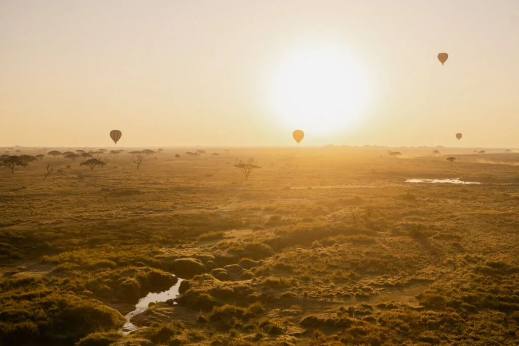 Travel And Tour World: photo 1