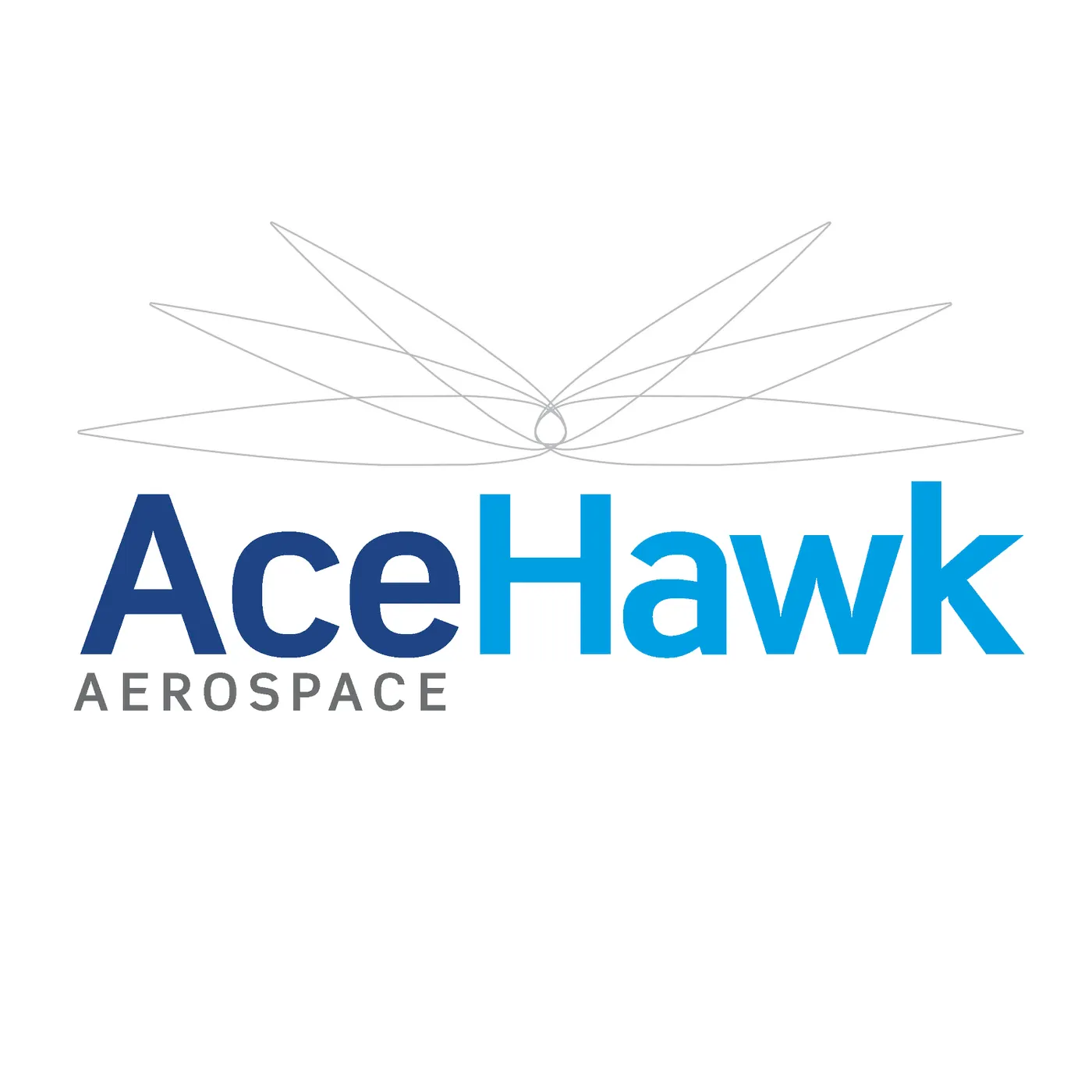Photo: AceHawk Aerospace., from the company website