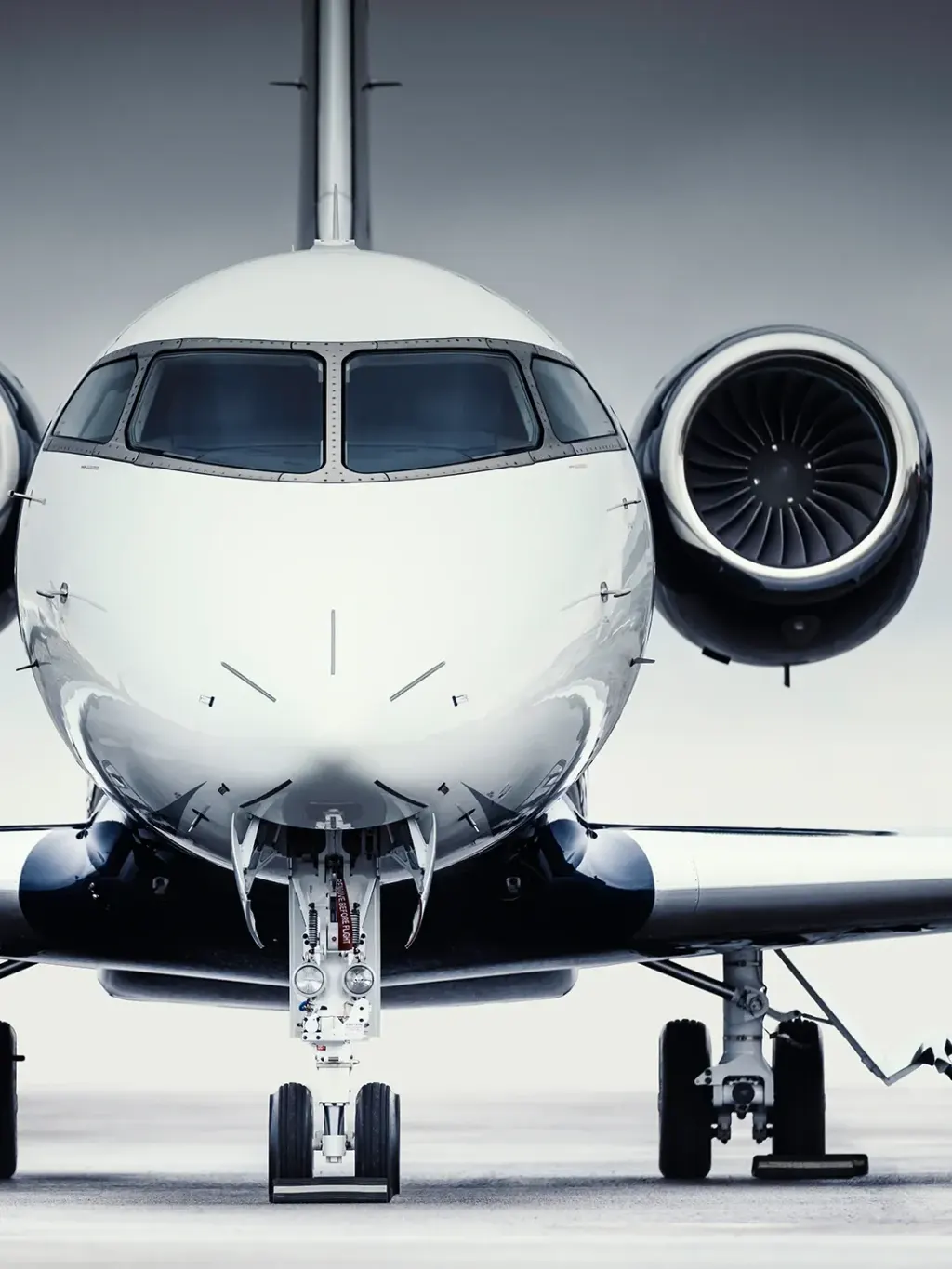 Bombardier: photo 1
