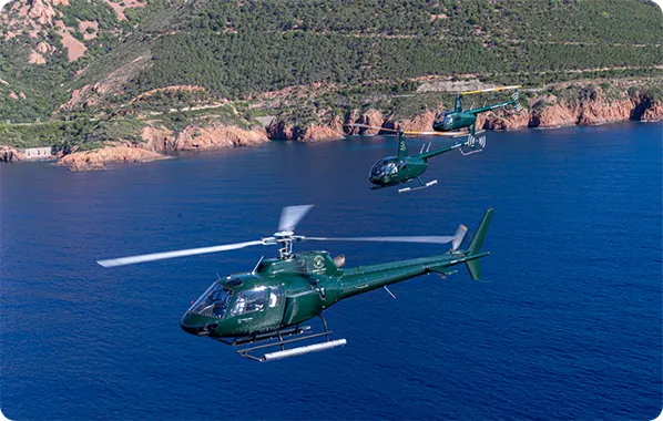 Green Bees Helico: photo 1