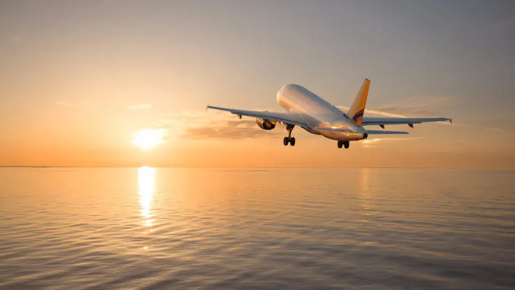 Photo: ILS Cargo, from the company website