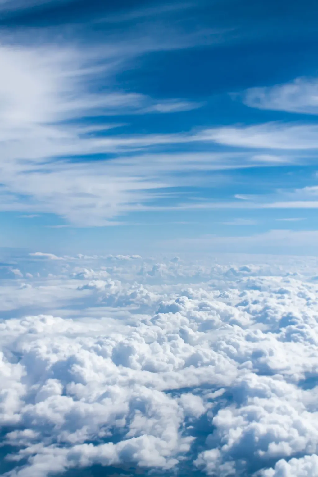 Photo: National Flight Training Alliance - NFTA, from the company website