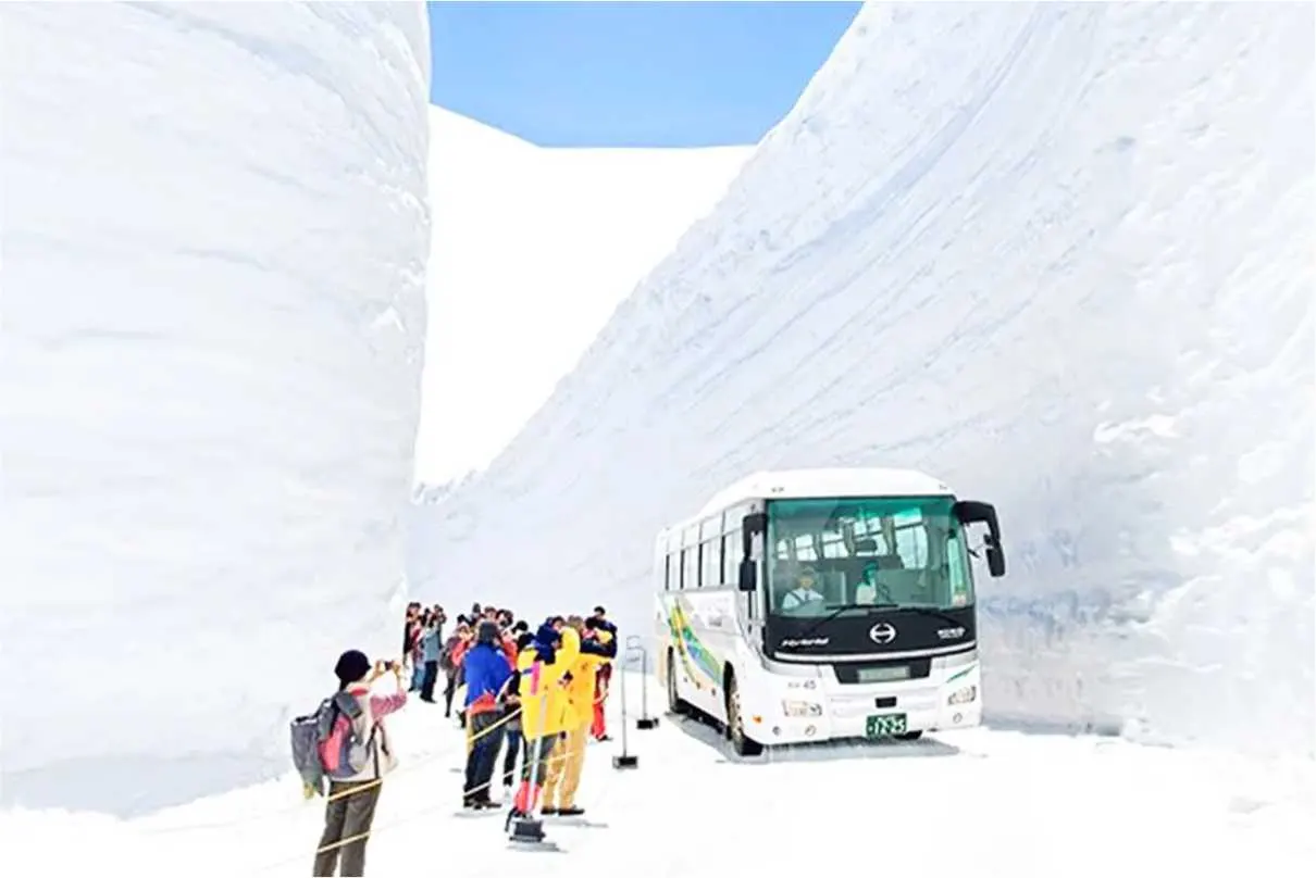Photo: Neem Holidays Pvt. Ltd., from the company website
