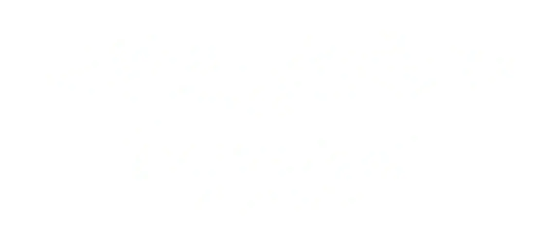 Photo: Vayudoot Aviation, from the company website