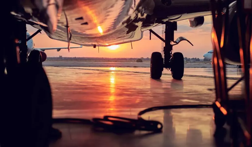 Industry Pioneers: The Growing Adoption of SAFs in Global Aviation (2024)