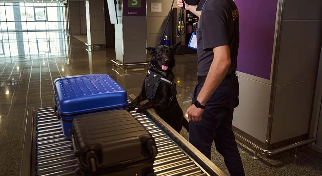 airlines secure business