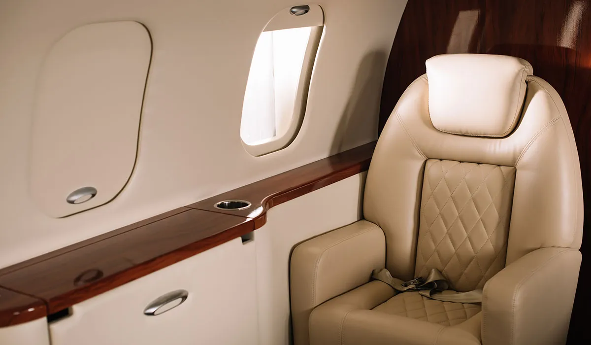 Luxurious Seating for 30 Passengers