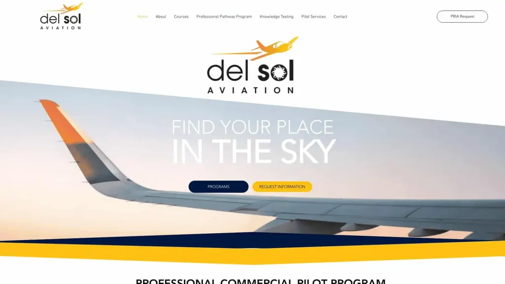 Del Sol Aviation website screenshot
