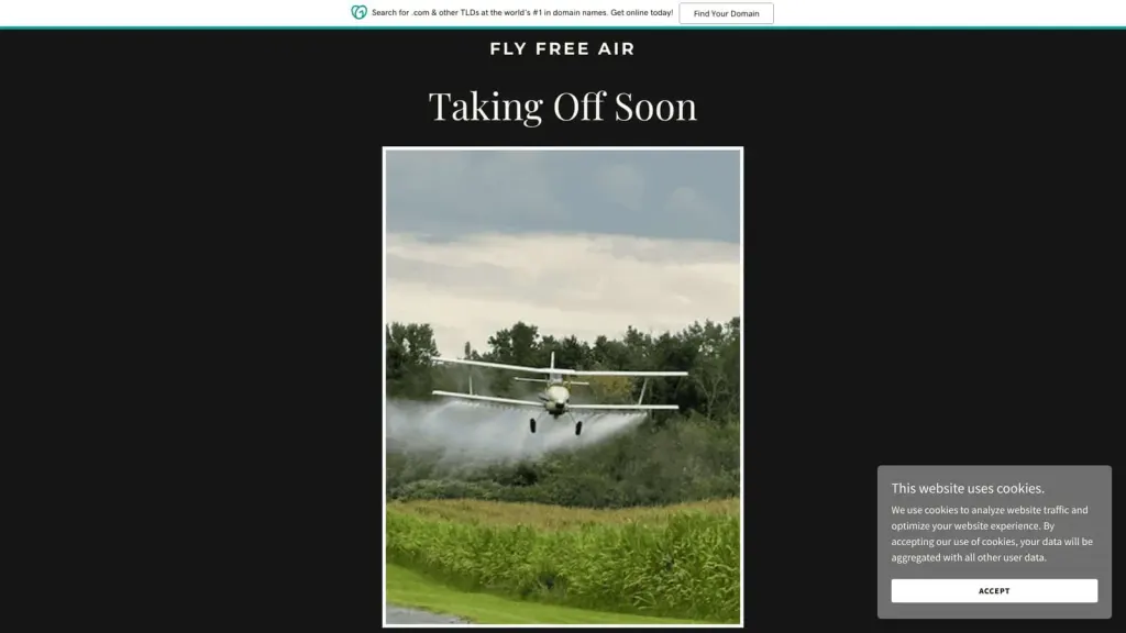 Fly Free Air website screenshot