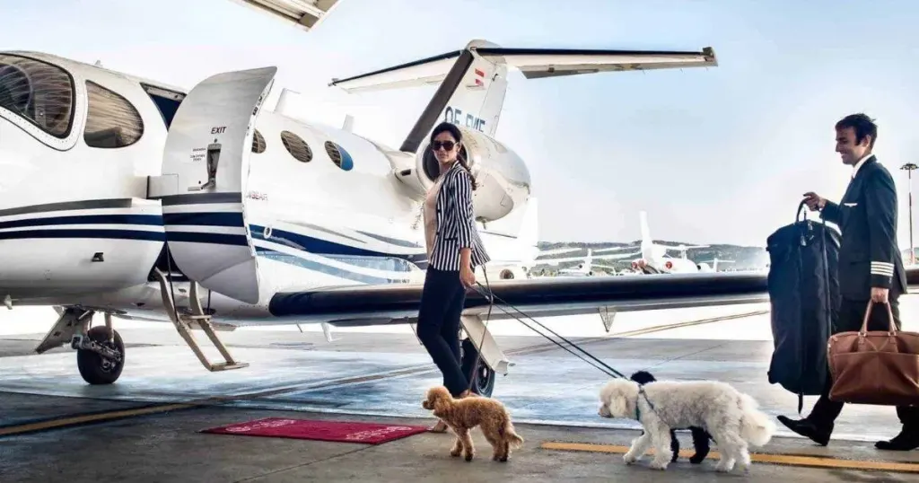 6 Premium Private Jet Services in Miami: Florida's Finest Air Travel Experience