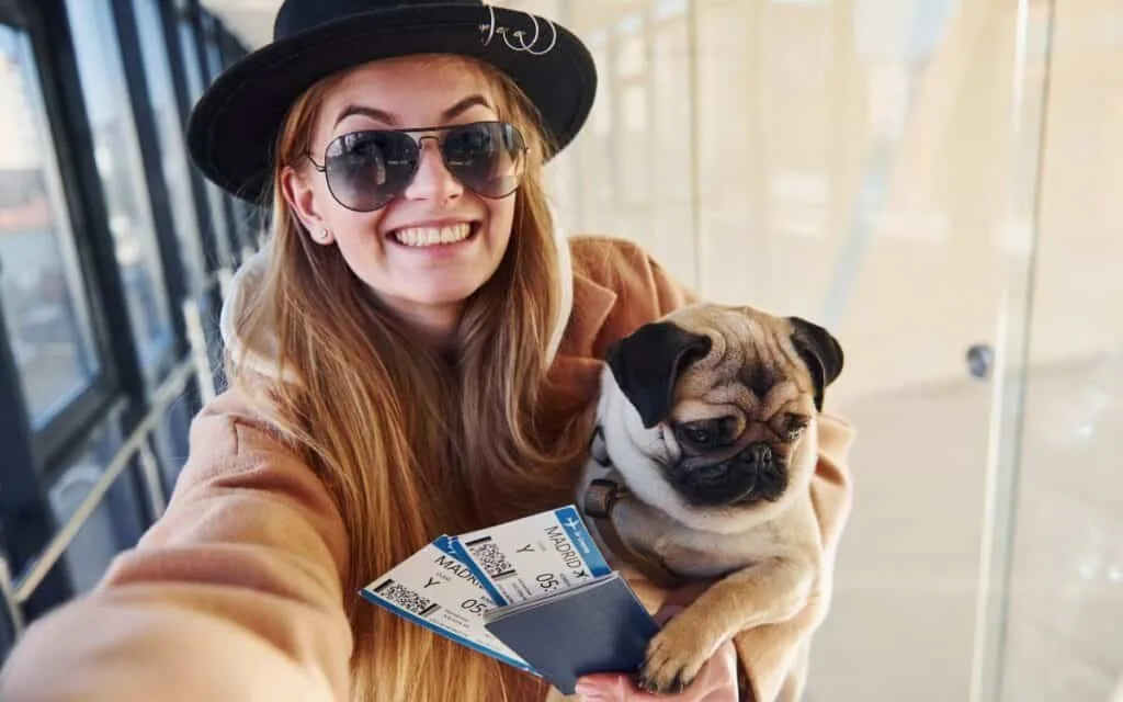 5. Flexjet - Redefining Luxury Pet Travel