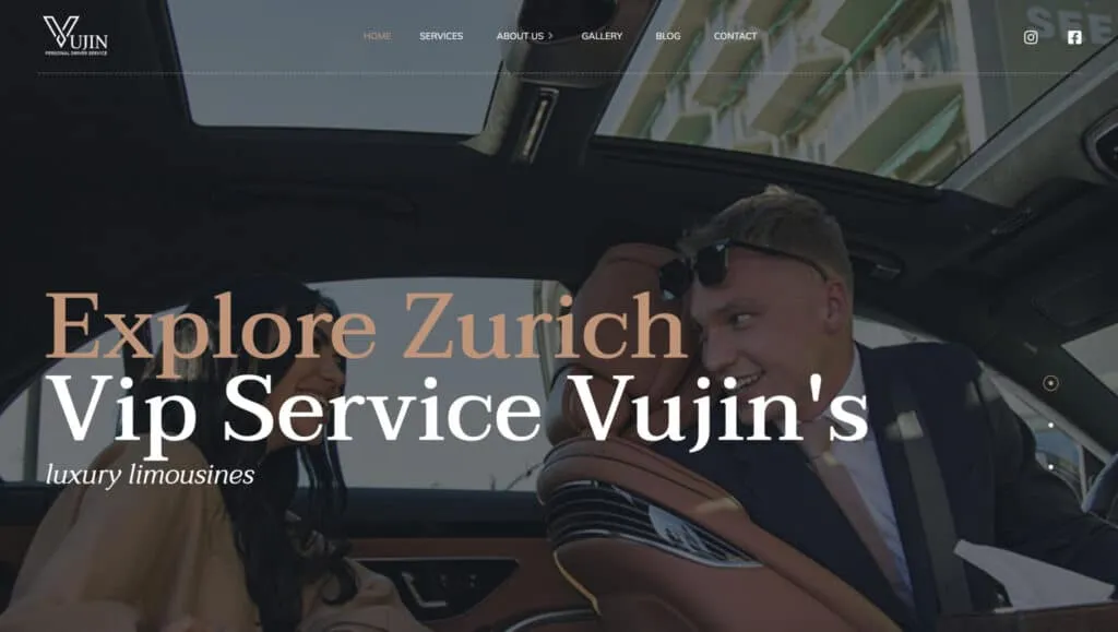 VIP Service Vujin