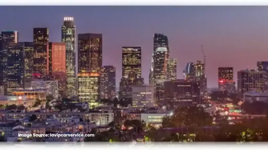 LA VIP Car Service: photo 1